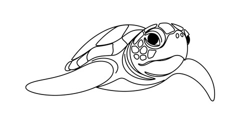 Single line drawing of a sea turtle swimming, simple outline art Vector, illustration © Bobita