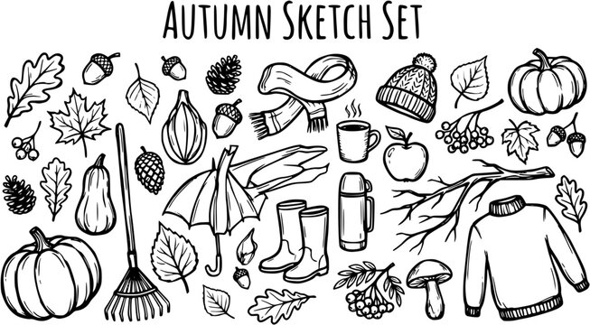 Autumn Sketch Set: Hand-drawn Black  White Line Art Collection of Fall Season Elements, Nature Objects, and Cozy Lifestyle Doodles