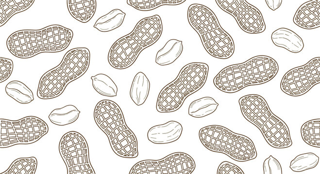 Seamless Hand Drawn Peanut Pattern Background with Organic Nut Shell Illustrations for Packaging Textile Wrapping and Food Branding Designs