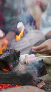 Festival, friends and hands with marshmallows, fire or social gathering with snack on break in woods. People, relax and roasting food at event, together and bonding on weekend getaway for concert