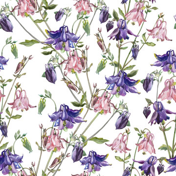 seamless pattern with blue and roses Aquilegia flowers, textil desing on white background