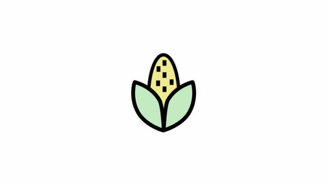 Fresh corn symbol - Ecological farming icon.