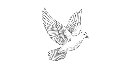 Obraz premium Elegant black and white line art illustration of a pigeon in flight with spread wings isolated on white background.