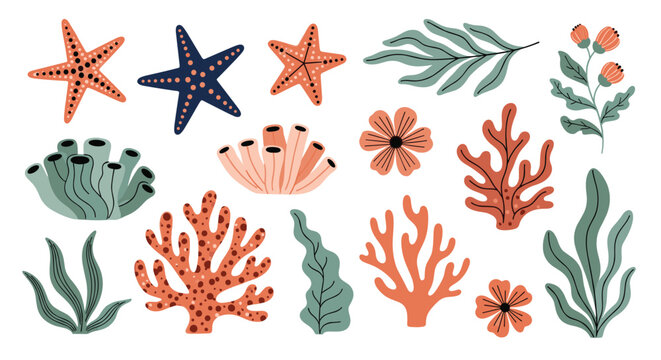 Set of diverse coral reefs, starfish and seaweed in green, orange and navy colors for marine themed design projects.