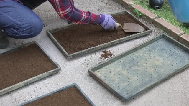 	育苗トレーに入れた土を均す女性