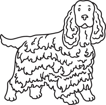 English Cocker Spaniel line art illustration floppy ear hunting dog doodle elegant companion breed contour drawing minimalist black outline clipart for grooming salon veterinary mascot logo design