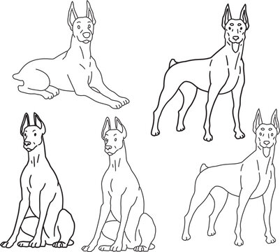 Set doodle Doberman Dog Line Art Pet products Clipart design element Silhouette Minimalist Animal Outline Black simple contour Illustration cute big dog drawing hand drawn comic pop ink style icon