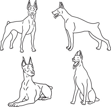 Set doodle Doberman Dog Line Art Pet products Clipart design element Silhouette Minimalist Animal Outline Black simple contour Illustration cute big dog drawing hand drawn comic pop ink style icon