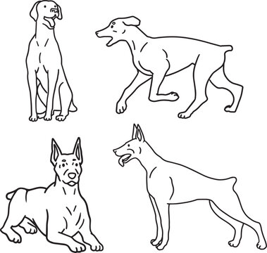 Set doodle Doberman Dog Line Art Pet products Clipart design element Silhouette Minimalist Animal Outline Black simple contour Illustration cute big dog drawing hand drawn comic pop ink style icon