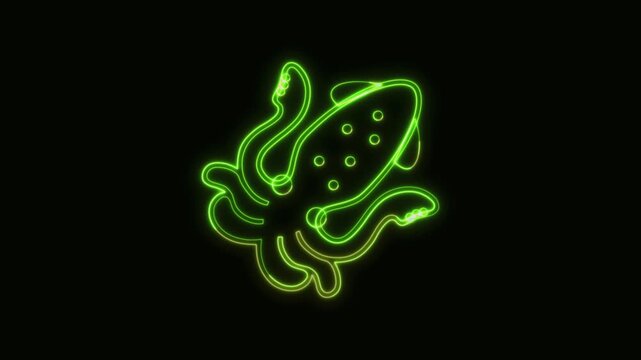 Squid Icon Neon Seamless Loop 4K Black Background Animated Promotional Typography for Video Editing