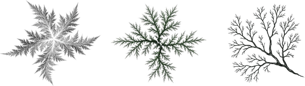 A striking fractal design in dark forest green against a pristine white background features intricate, high-contrast branches resembling frost or mycelium, ideal for precise vector tracing without
