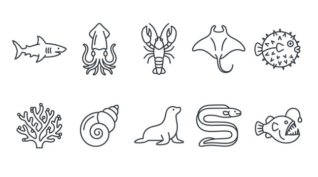 Collection of marine animal icons in a simple line art style, representing sea life.