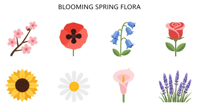 A collection of eight distinct floral illustrations arranged in two rows under the header Blooming Spring Flora