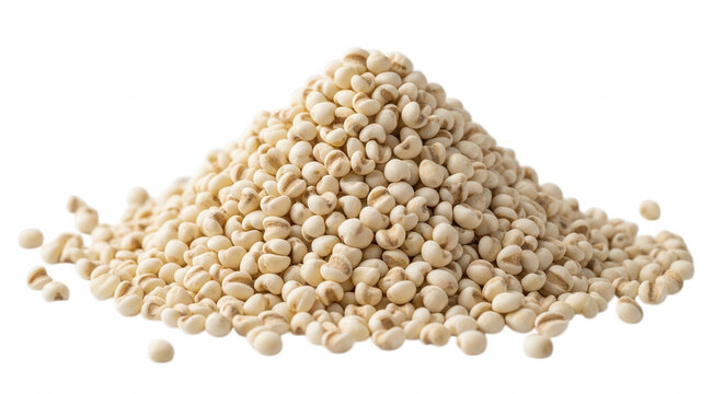 A conical pile of raw, dried job's tears seeds, also known as coix seeds, isolated against a solid black background