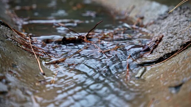 Close up of rainwater flowing through urban concrete drain during rainfall. Outdoor city scene with small stream, wet surface, twigs, and runoff in gutter channel.