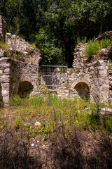 Naklejka premium Olympos is an ancient Lycian harbor city set in a lush river valley in Antalya, Turkey. Famous for merging Hellenistic, Roman, and Byzantine ruins with untouched nature, it features sarcophagi, ancien