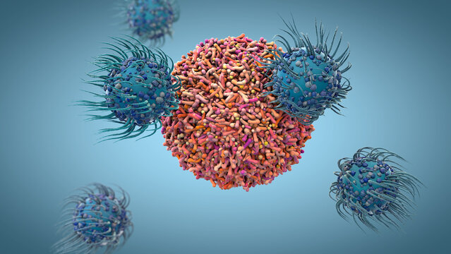 Immune cells latch onto a virus-infected cell, surrounding and attacking it as part of the human body&rsquo;s defense system - 3d illustration
