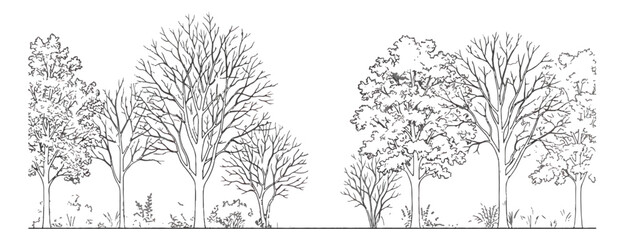 Minimalist tree line vector illustration, black and white forest landscape sketch, hand drawn deciduous trees and bare winter branches for architectural site plans © Chaudhary