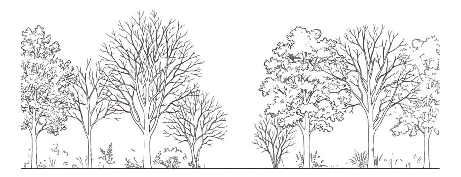 Minimalist tree line vector illustration, black and white forest landscape sketch, hand drawn deciduous trees and bare winter branches for architectural site plans