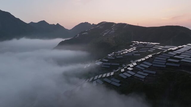 Rows of solar panels on misty mountain slopes with cloud sea at sunrise