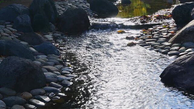 清流と光