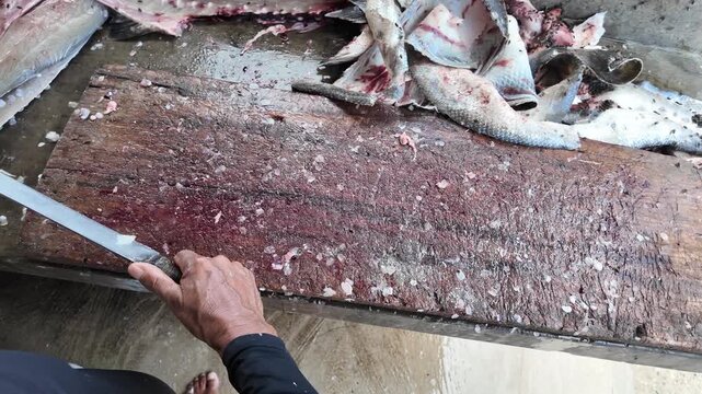 Detailed shot of hands expertly removing skin and bones from a clean white loin of Barracuda fish at a traditional seafood market.