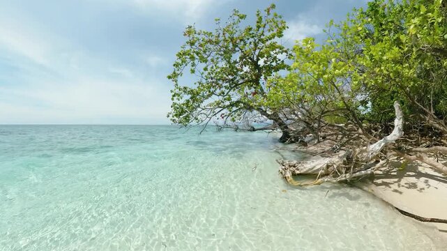 Tropical beach with white sand and ocean waves. Mantigue Island. Camiguin, Philippines.