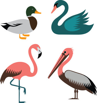 Flat water bird set with duck swan flamingo pelican silhouettes