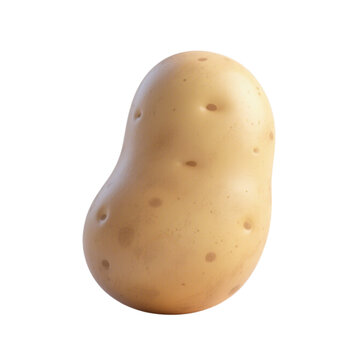 Potato Wonder: A single, perfectly shaped potato, showcasing its smooth, light brown skin dotted with subtle eyes, stands ready to become a culinary masterpiece.