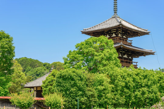 【奈良県】斑鳩町 法起寺 (2026/05/19 撮影)
