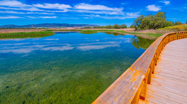 Tablas de Daimiel National Park, Daimiel, Ciudad Real, Castilla La Mancha, Spain, Europe