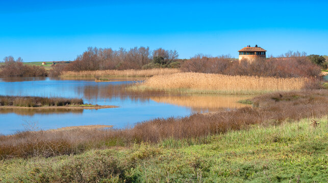 Lagunas de Villaf&aacute;fila Natural Reserve, Natura 2000, Zamora, Castilla y Le&oacute;n, Spain, Europe