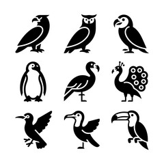 Fototapeta premium Collection of nine black and white vector illustrations of various birds with feathers