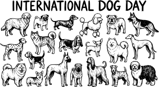 International Dog Day Black and White Line Art Stock Vector Illustration