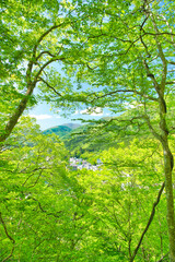 Fototapeta premium 栃木県那須塩原市 自然豊かな塩原温泉の風景