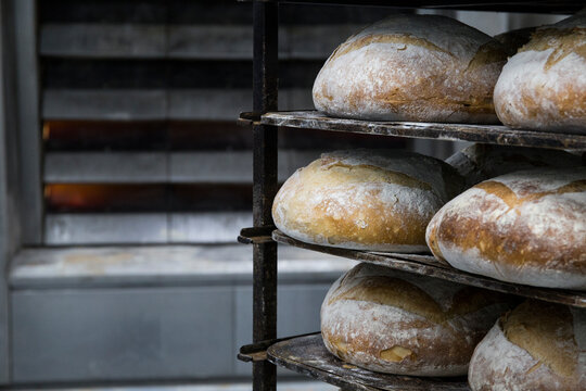 Trays of bread in a bakery