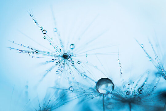 Blue waterdrops
