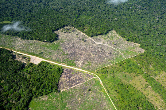 Brazil, Para, Itaituba, Amazon rainforest, slash and burn, reclamation of pastureland