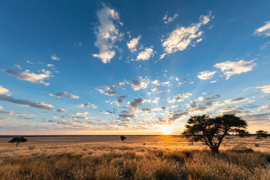Africa, Botswana, Kgalagadi Transfrontier Park, Mabuasehube Game Reserve, Mabuasehube Pan at sunrise