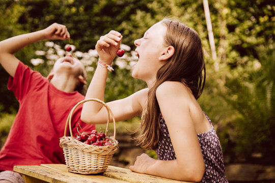 Girl and boy enjoying cherries in garden