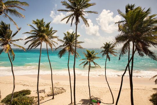 Caribbean, Barbados, Bottom Bay beach