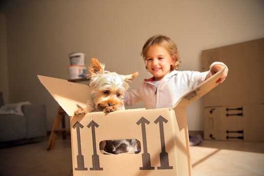 Smiling girl with dog inside cardboard box
