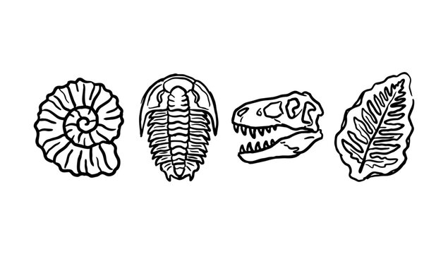 Paleontology and natural history doodle fossils including spiral shell trilobite dinosaur skull fern leaf