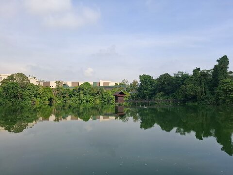 upper seletar reservoir from mandai wildlife reserve