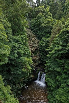 Aerial view of Parque Natural da Ribeira dos Caldeiroes waterfall surrounded by lush green forest with people at the base in Achada, Acores, Portugal.
