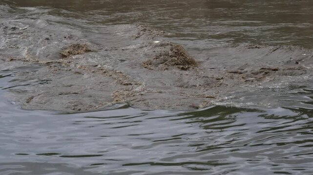 Turbulent Muddy Flood Water Carrying Debris and Garbage in Polluted River During Monsoon in Bhaktapur, Nepal.