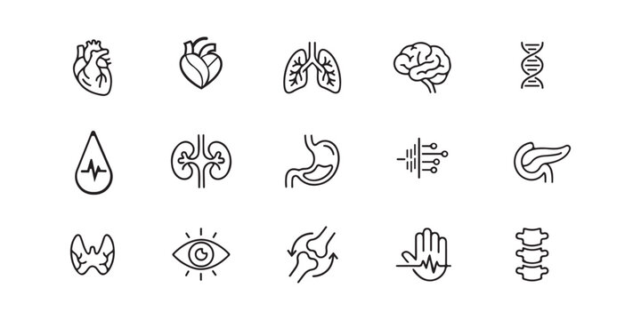 Human organs line icons set, anatomy medical doodle symbols vector collection