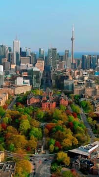 Cinematic toronto aerial at golden hour with warm light bathing redbrick campus and autumn trees, long shadows across park paths, skyline silhouette with cn tower, serene lake horizon, slow drone