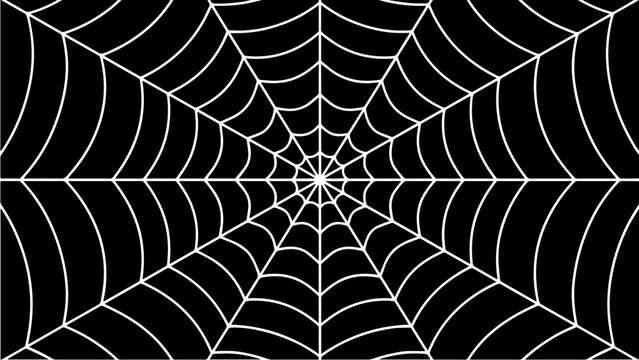 Spiderweb