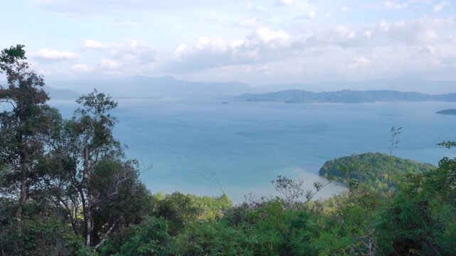 Tropical evergreen forests on the coast of the Andaman Sea. Thailand